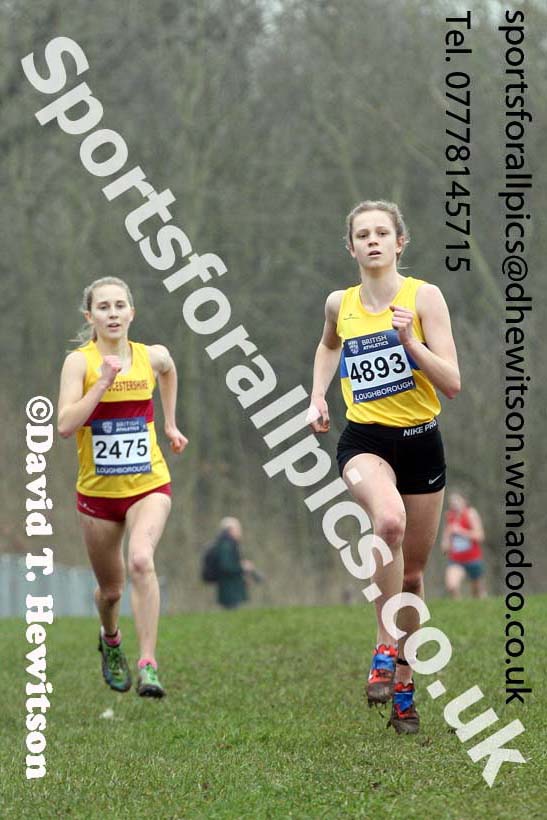 Womens under-20s Inter Counties Cross Country, Prestwold Hall, Loughborough. Photo: David T. Hewitson/Sports for All Pics